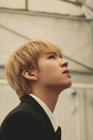 남우현 profil kép