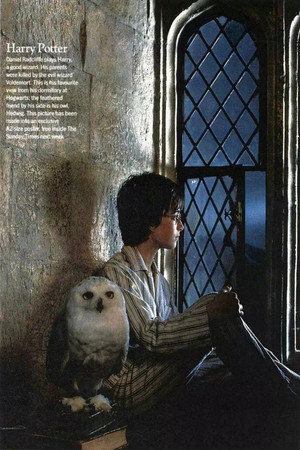 Harry Potter poszter