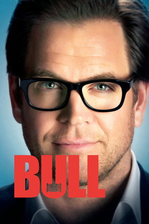 Bull poszter