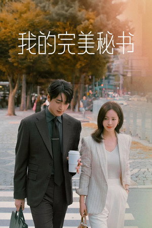 나의 완벽한 비서 poszter