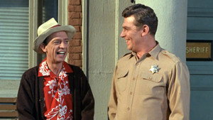 The Andy Griffith Show 6. évad Ep.17 17. epizód