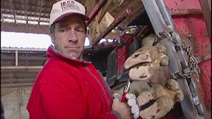 Dirty Jobs 2. évad Ep.14 14. epizód
