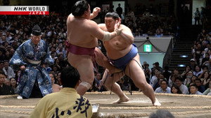 GRAND SUMO Highlights 29. évad Ep.14 14. epizód