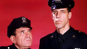 Car 54, Where Are You? kép