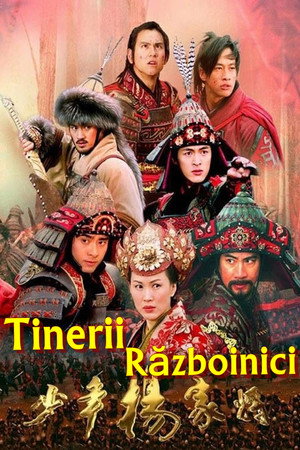 少年杨家将 poszter