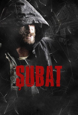 Şubat poszter