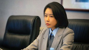 以法之名 kép