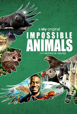 Impossible Animals poszter
