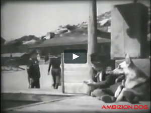 The Adventures of Rin Tin Tin 1. évad Ep.1 1. epizód