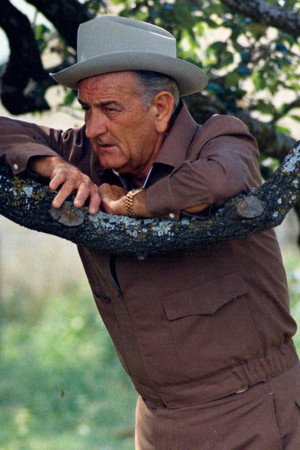 American Experience: LBJ poszter