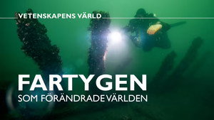 Vetenskapens värld 48. évad Ep.36 36. epizód