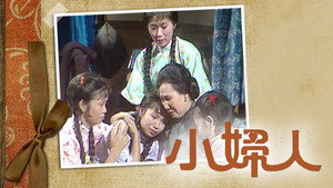 小婦人 kép