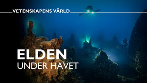 Vetenskapens värld 49. évad Ep.3 3. epizód
