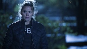 FBI: New York különleges ügynökei 4. évad Ep.21 21. epizód