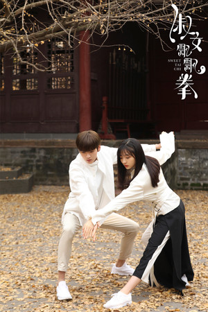 淑女飘飘拳 poszter