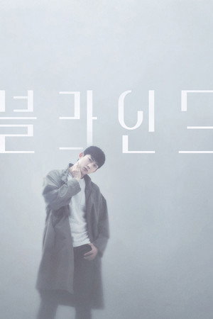 블라인드 poszter
