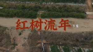 奇迹 1. évad Ep.8 8. epizód