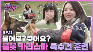 겁도 없꾸라 1. évad Ep.13 13. epizód