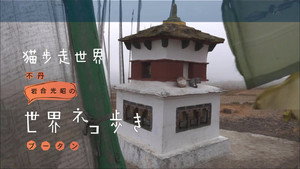 岩合光昭の世界ネコ歩き 1. évad Ep.57 57. epizód