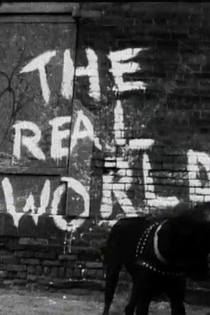 The Real World 1. évad (1992-05-21) poszter