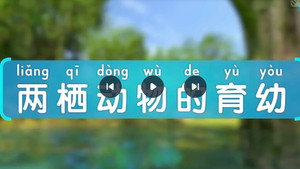 斑马百科 29. évad Ep.10 10. epizód