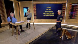 Veckan med Camilla och Leif GW 1. évad Ep.3 3. epizód