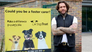 Pete Wicks: For Dogs’ Sake 2. évad Ep.5 5. epizód