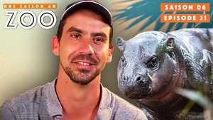 Une saison au zoo 6. évad Ep.21 21. epizód