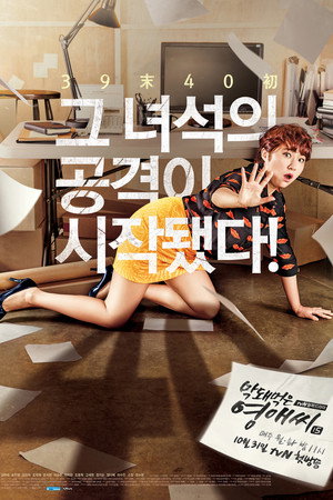 막돼먹은 영애씨 15. évad (2016-10-31) poszter