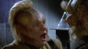 Star Trek: Voyager 3. évad Ep.13 Korrekt üzlet