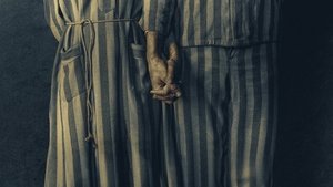 Az auschwitzi tetováló igaz története kép