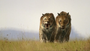 Walking with Beasts kép