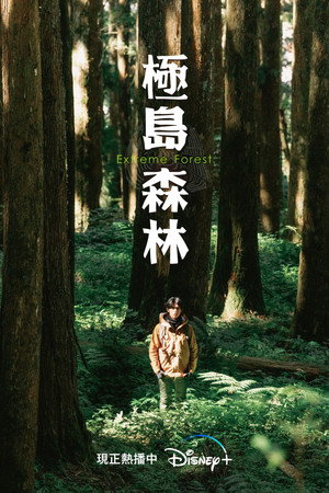 極島森林 poszter