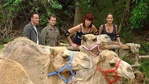 I'm a Celebrity...Get Me Out of Here! 4. évad Ep.15 15. epizód