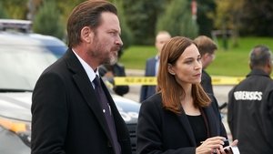 Law & Order Toronto: Criminal Intent 2. évad Ep.8 8. epizód