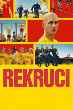 Újoncok poszter