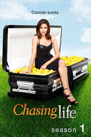 Chasing life 1. évad (2014-06-10) poszter