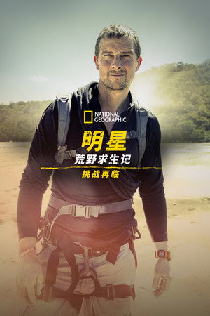 Bear Grylls - Sztárok a vadonban: A kihívás poszter