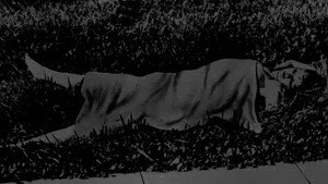 Buzzfeed Unsolved: True Crime 1. évad Ep.4 4. epizód