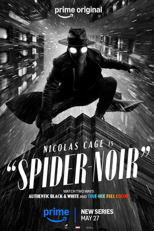 A Pók: Noir poszter