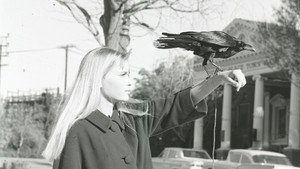 Peyton Place kép