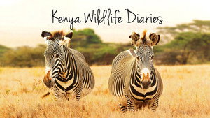 Kenyai vadnaplók kép
