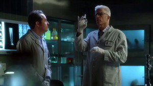 CSI: A helyszínelők 14. évad Ep.21 Cicus