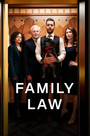 Family Law 4. évad (2026-01-08) poszter