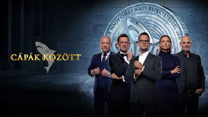 Cápák között kép