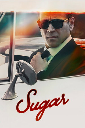 Sugar poszter