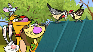 Nature Cat 1. évad Ep.35 35. epizód