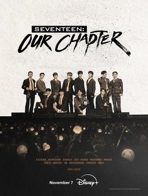 SEVENTEEN: OUR CHAPTER