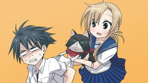 にゃんこい！ kép