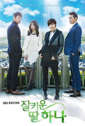 잘 키운 딸 하나 1. évad (2013-12-02) poszter
